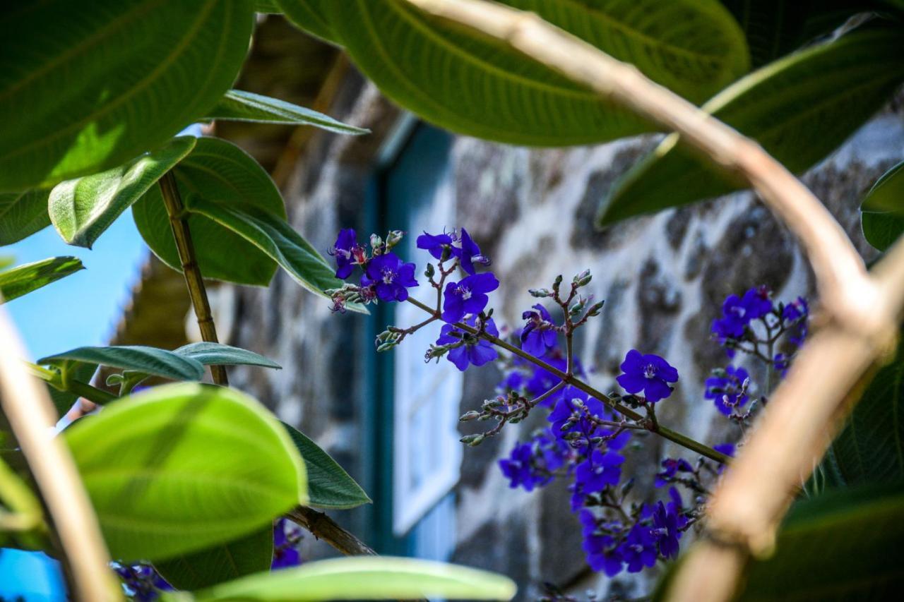 Quinta Dos Frutos Villa Santa Cruz da Graciosa Exteriör bild