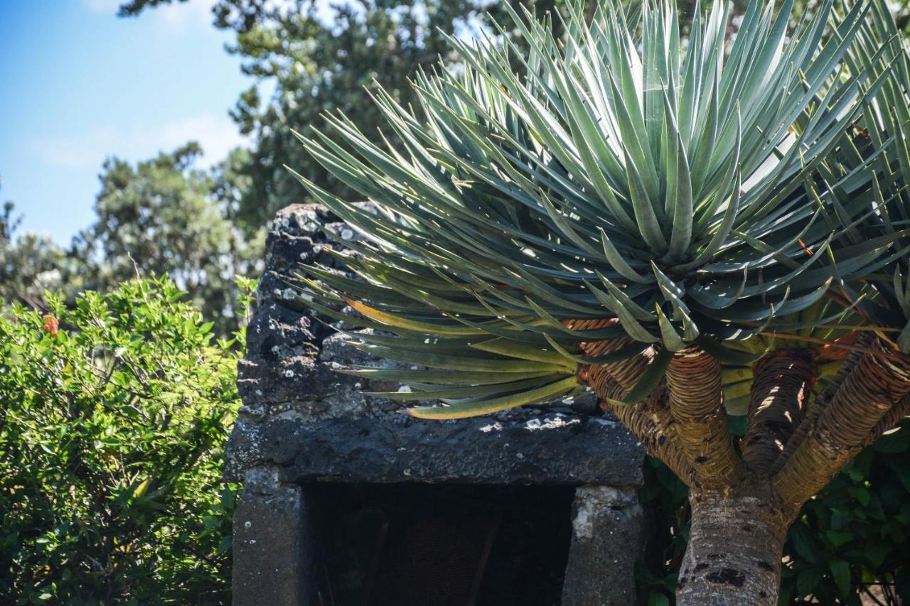 Quinta Dos Frutos Villa Santa Cruz da Graciosa Exteriör bild